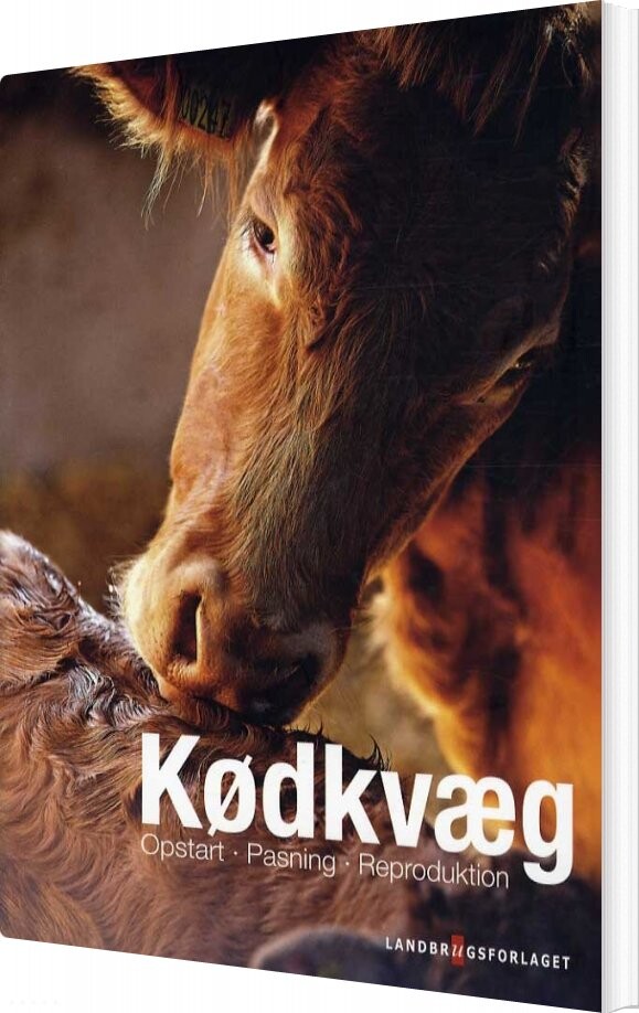 Kødkvæg   Torben Worsøe   Bog