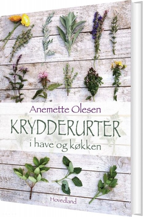 Krydderurter I Have Og Køkken   Anemette Olesen   Bog