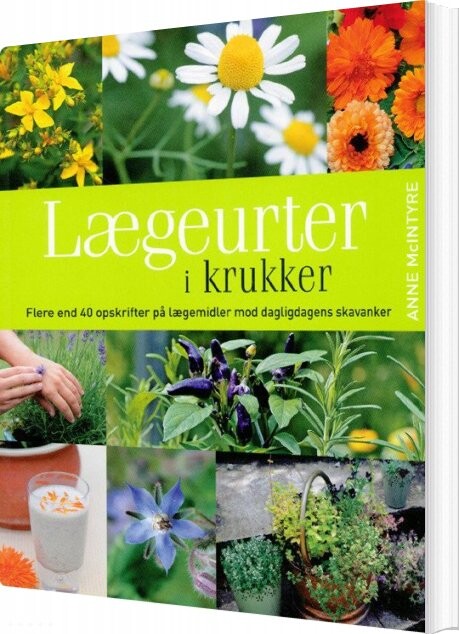 Lægeurter I Krukker   Anne Mcintyre   Bog