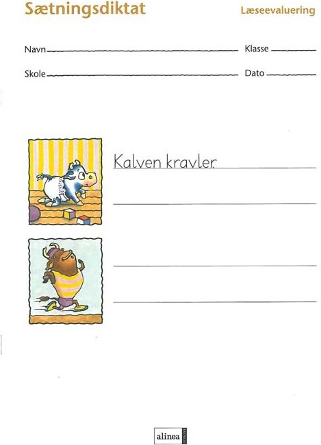 Læseevaluering På Begyndertrinnet   Sætningsdiktat   10 Stk    Ina Borstrøm   Bog