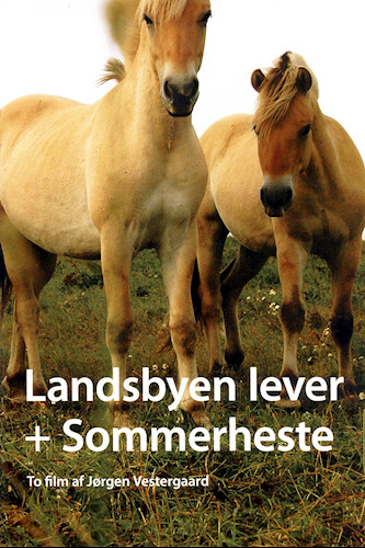Landsbyen Lever   Sommerheste   Dvd   Film