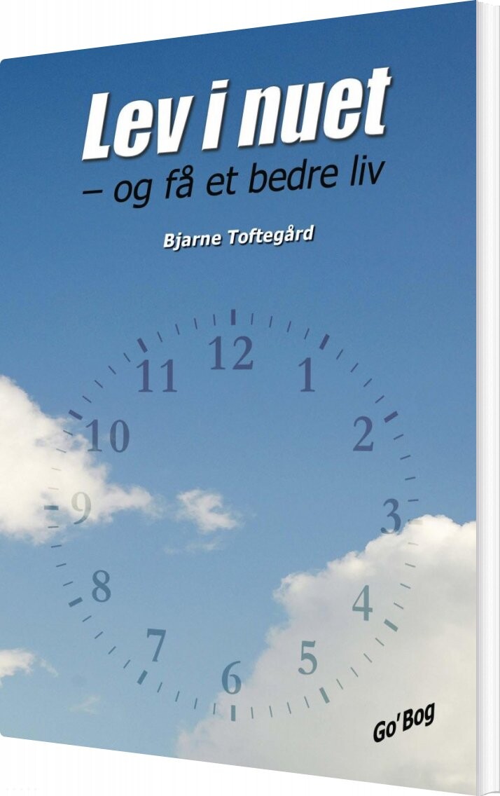 Lev I Nuet   Bjarne Toftegård   Bog