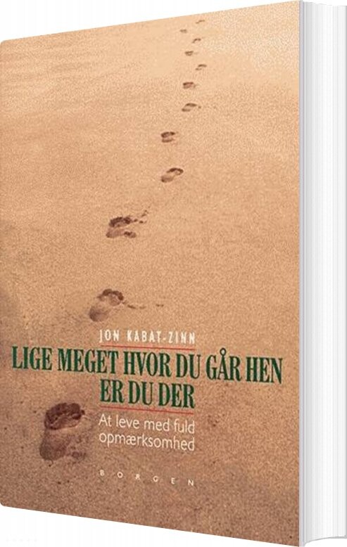 Lige Meget Hvor Du Går Hen  Er Du Der   Jon Kabat Zinn   Bog