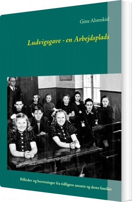 Ludvigsgave   En Arbejdsplads   Gitte Ahrenkiel   Bog