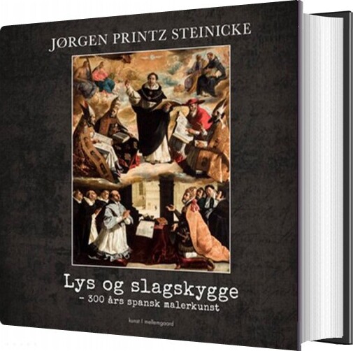 Lys Og Slagskygge   Jørgen Printz Steinicke   Bog