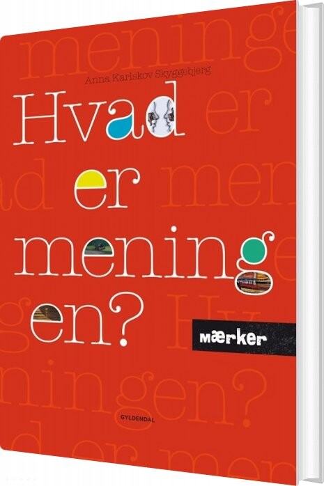 Mærker   Hvad Er Meningen    Anna Karlskov Skyggebjerg   Bog