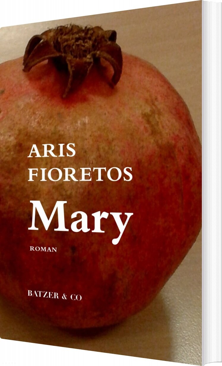 Mary   Aris Fioretos   Bog