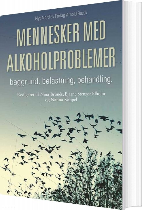 Mennesker Med Alkoholproblemer   Nanna Kappel   Bog