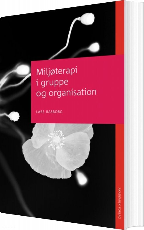 Miljøterapi I Gruppe Og Organisation   Lars Rasborg   Bog