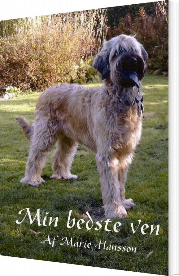 Min Bedste Ven   Maria Hansson   Bog