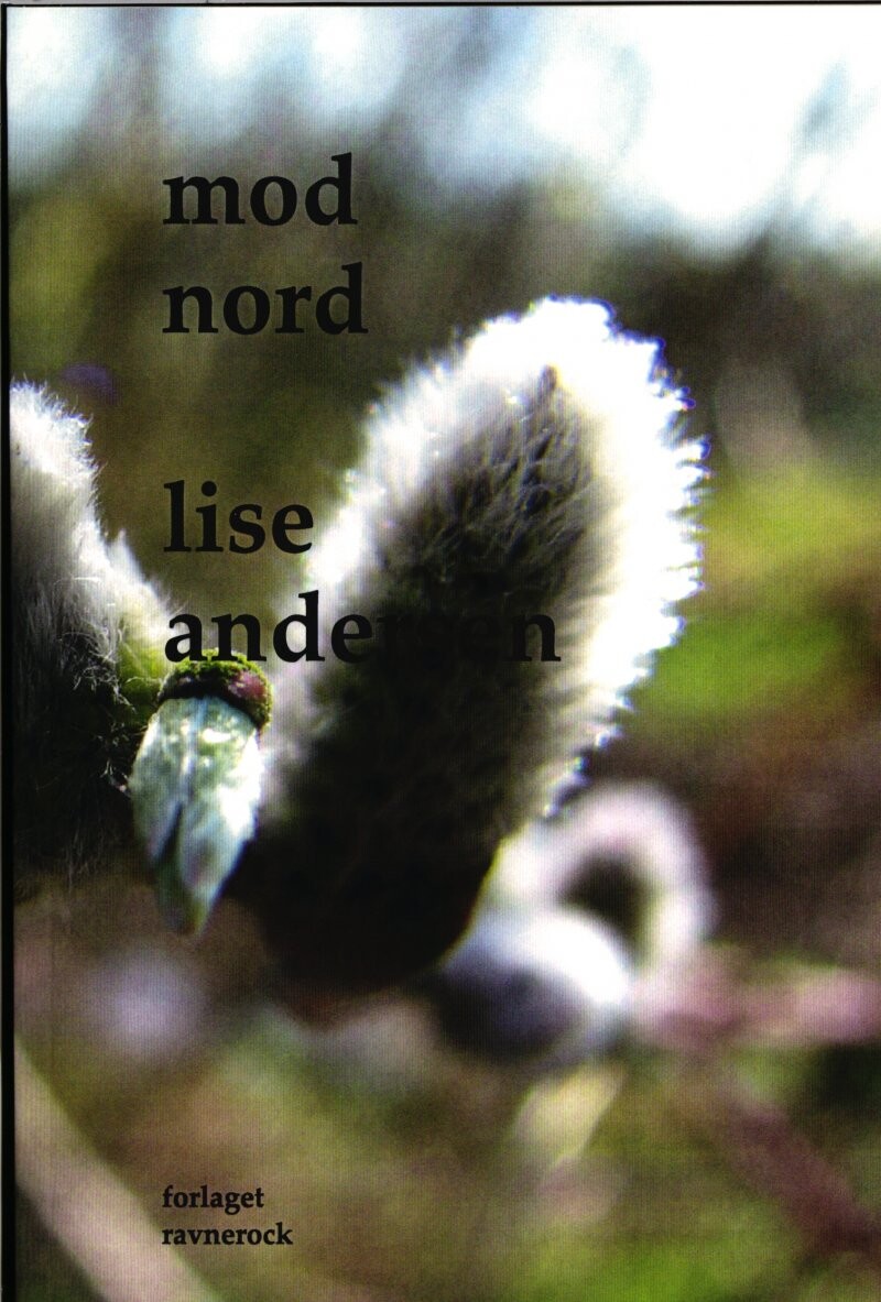 Mod Nord   Lise Andersen   Bog