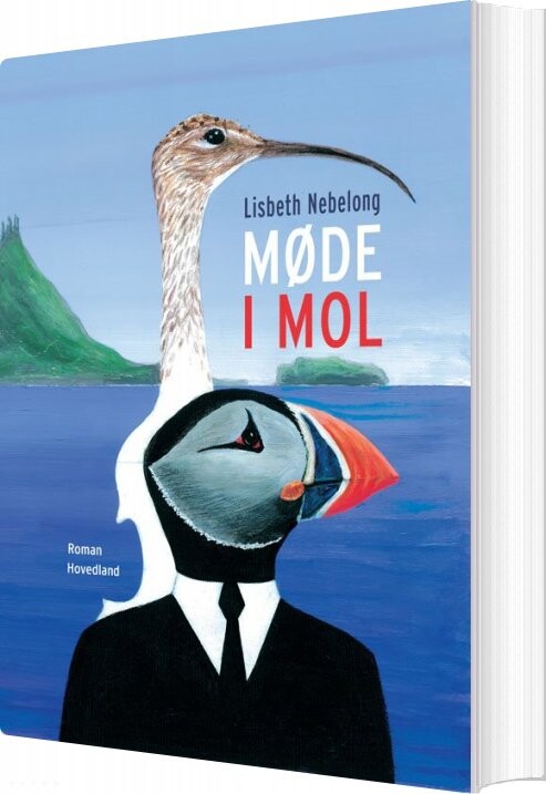Møde I Mol   Lisbeth Nebelong   Bog