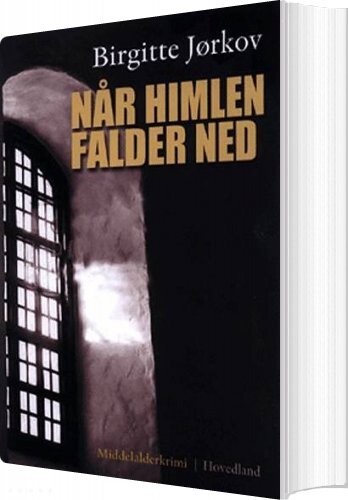 Når Himlen Falder Ned   Birgitte Jørkov   Bog