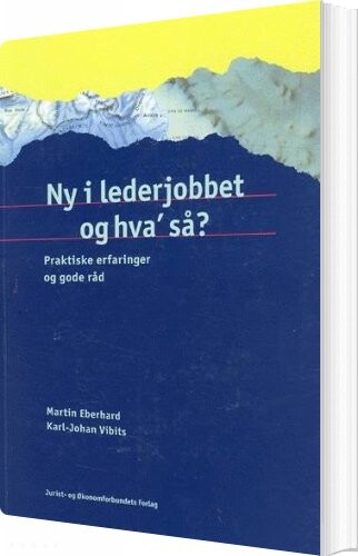 Ny I Lederjobbet Og Hva  Så    Karl Johan Vibits   Bog