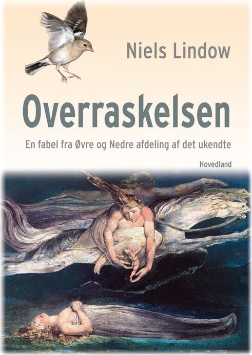 Overraskelsen   Niels Lindow   Bog