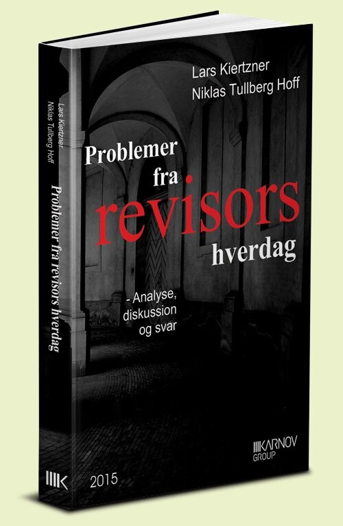 Problemer Fra Revisors Hverdag   Lars Kiertzner   Bog