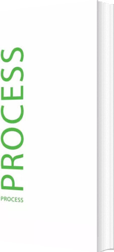 Process   Stefan Green Meinel   English Book