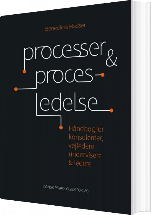 Processer Og Procesledelse   Benedicte Madsen   Bog