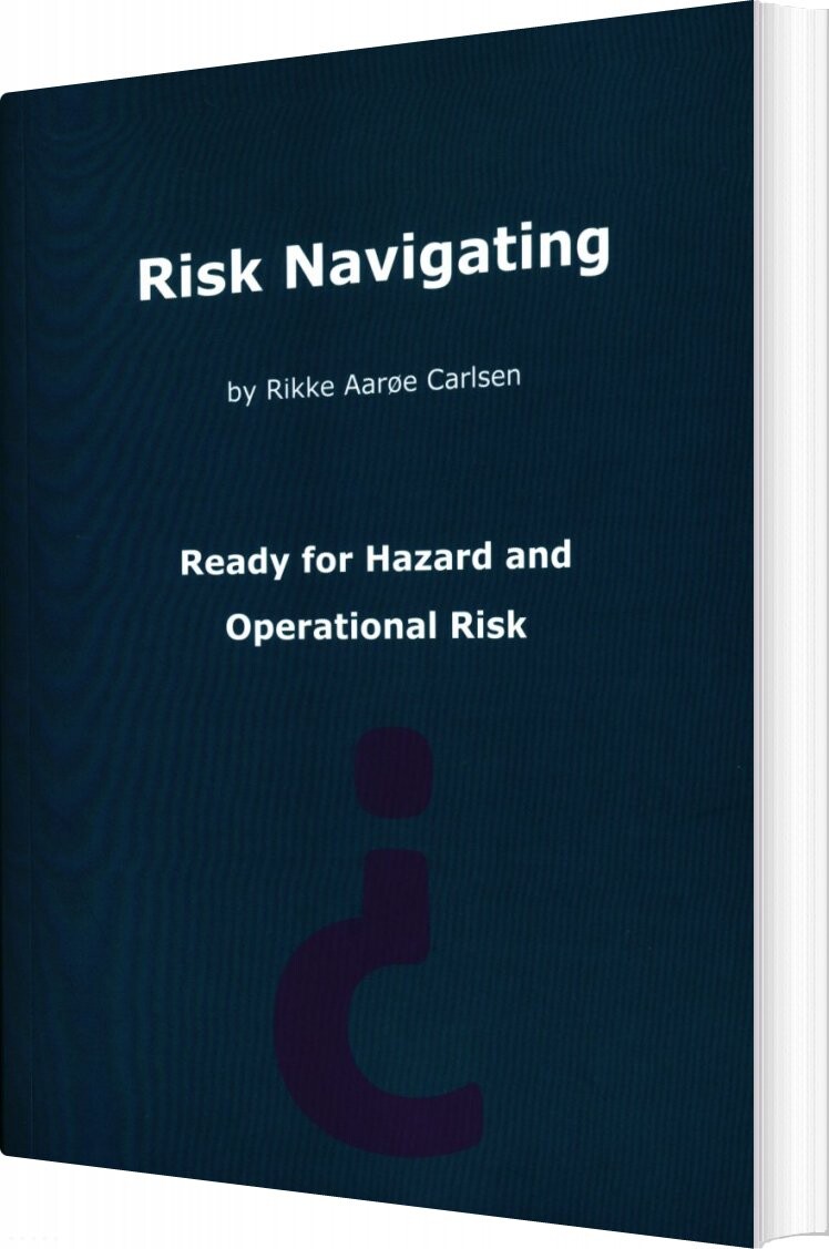 Risk Navigating   Rikke Aarøe Carlsen   English Book