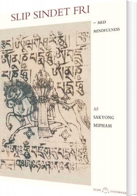 Slip Sindet Fri   Sakyong Mipham   Bog