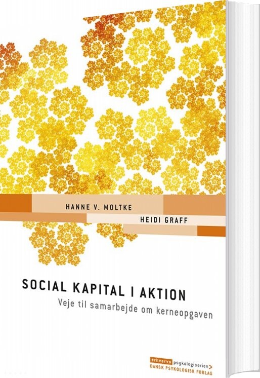 Social Kapital I Aktion   Hanne V  Moltke   Bog