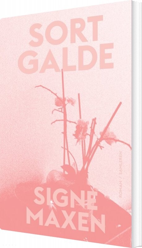 Sort Galde   Signe Maxen   Bog