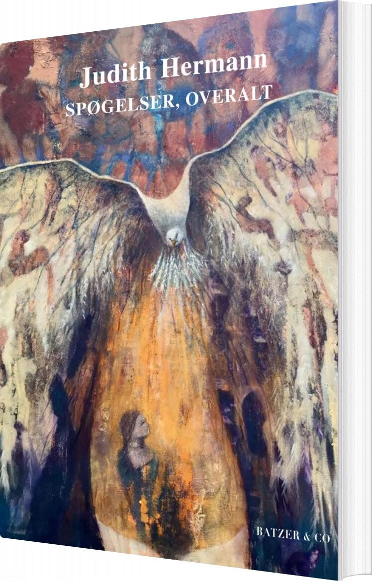Spøgelser  Overalt   Judith Hermann   Bog
