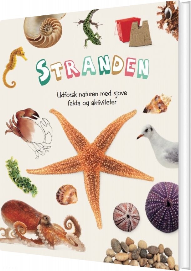 Stranden   Line Zahll   Bog