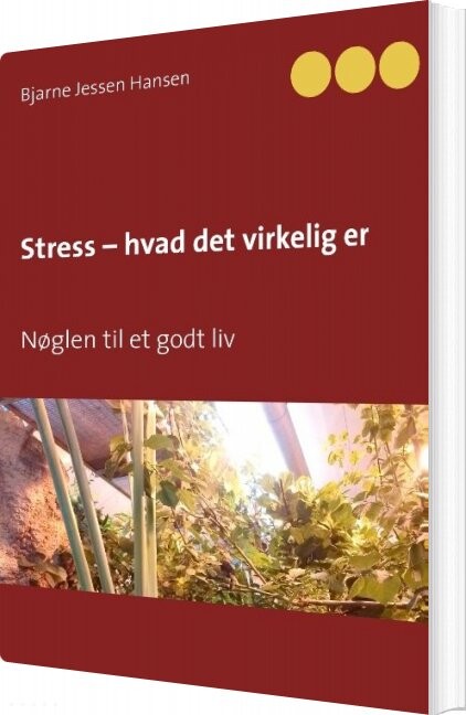 Stress   Hvad Det Virkelig Er   Bjarne Jessen Hansen   Bog