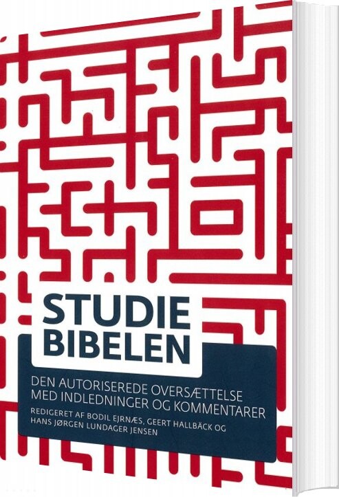 Studiebibelen   Bodil Ejrnæs   Bog