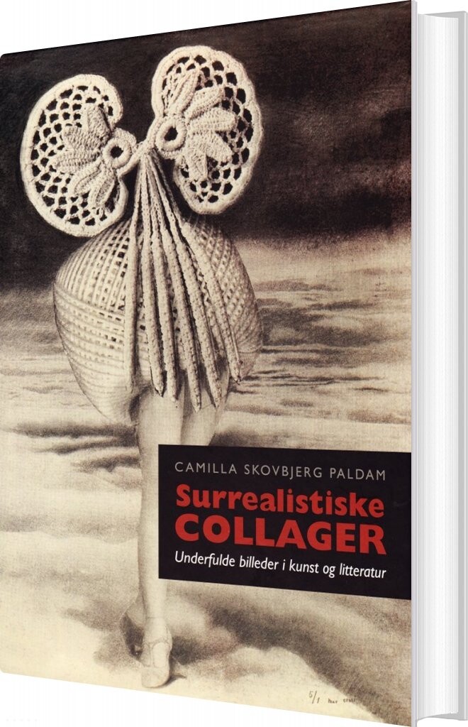 Surrealistiske Collager   Camilla Skovbjerg Paldam   Bog