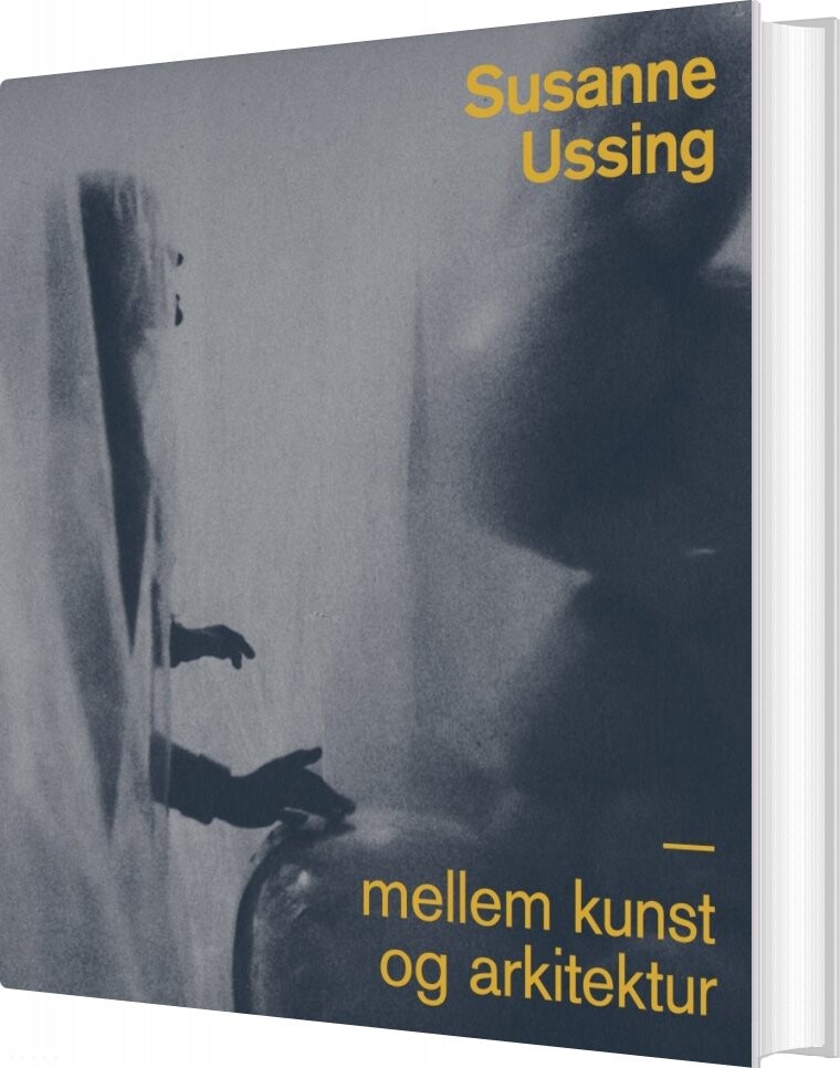 Susanne Ussing   Peter Laugesen   Bog