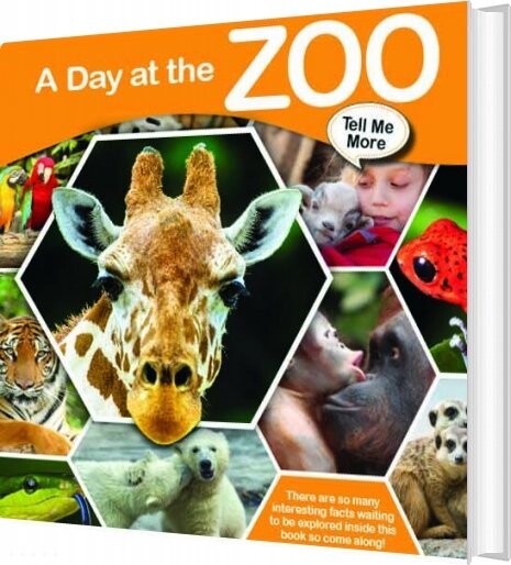 Tell Me More   A Day At The Zoo   English Book