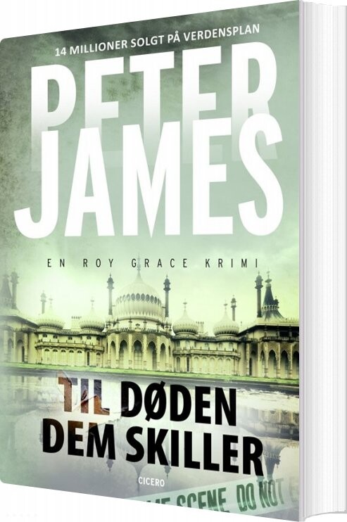 Til Døden Dem Skiller   Peter James   Bog