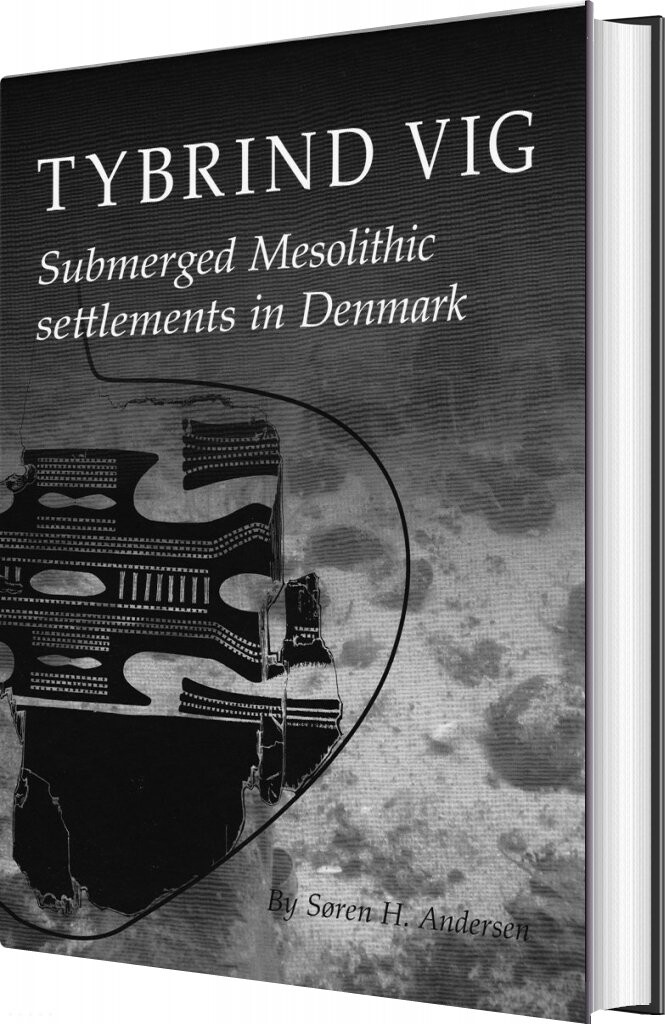 Tybrind Vig   Søren H  Andersen   English Book