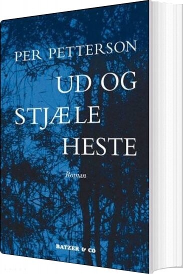 Ud Og Stjæle Heste   Per Petterson   Bog