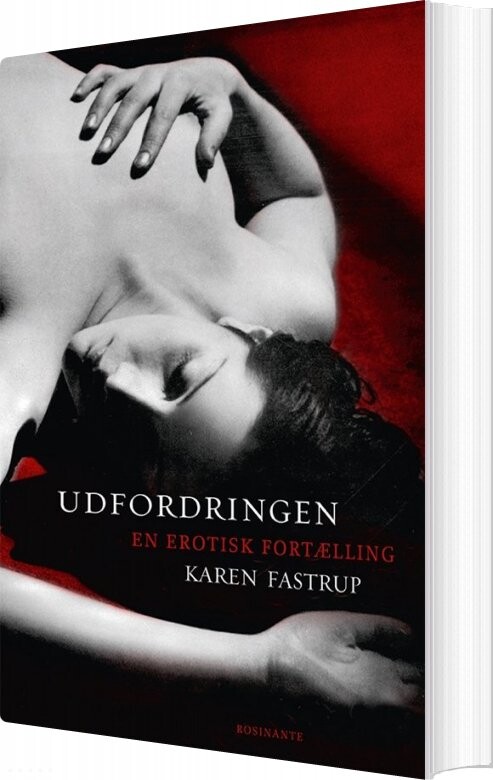 Udfordringen   Karen Fastrup   Bog