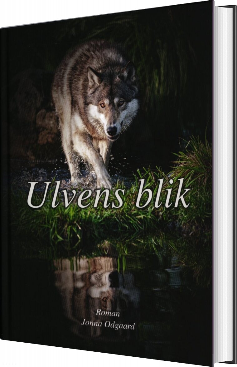 Ulvens Blik   Jonna Odgaard   Bog