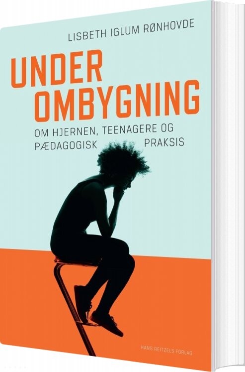 Under Ombygning   Lisbeth Iglum Rønhovde   Bog