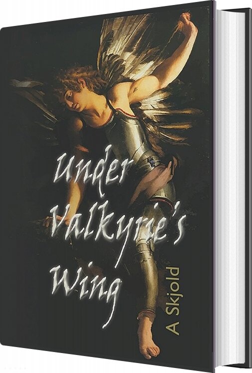Under Valkyrie S Wing   A Skjold   English Book