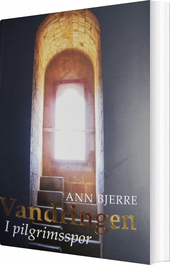 Vandringen   Ann Bjerre   Bog