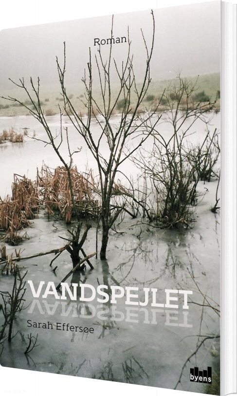 Vandspejlet   Sarah Effersøe   Bog
