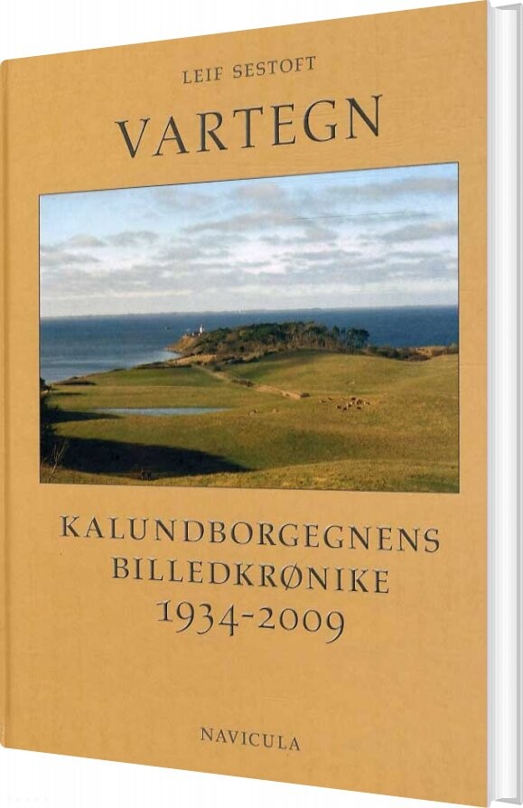 Vartegn   Leif Sestoft   Bog