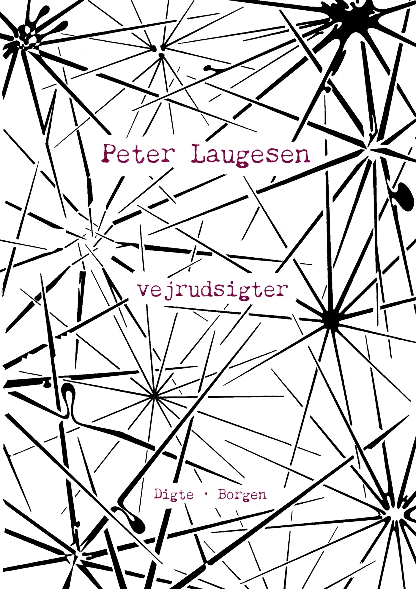 Vejrudsigter   Peter Laugesen   Bog