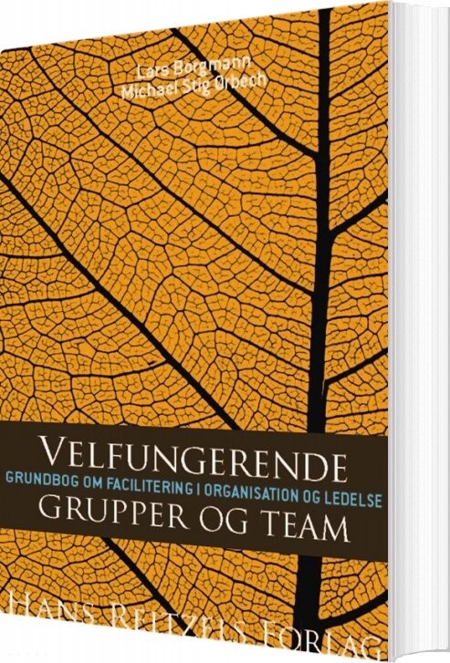 Velfungerende Grupper Og Team   Michael Stig ørbech   Bog