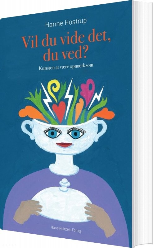 Vil Du Vide Det  Du Ved    Hanne Hostrup   Bog