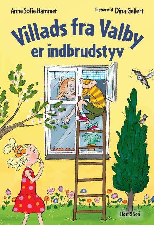 Villads Fra Valby Er Indbrudstyv   Anne Sofie Hammer   Bog