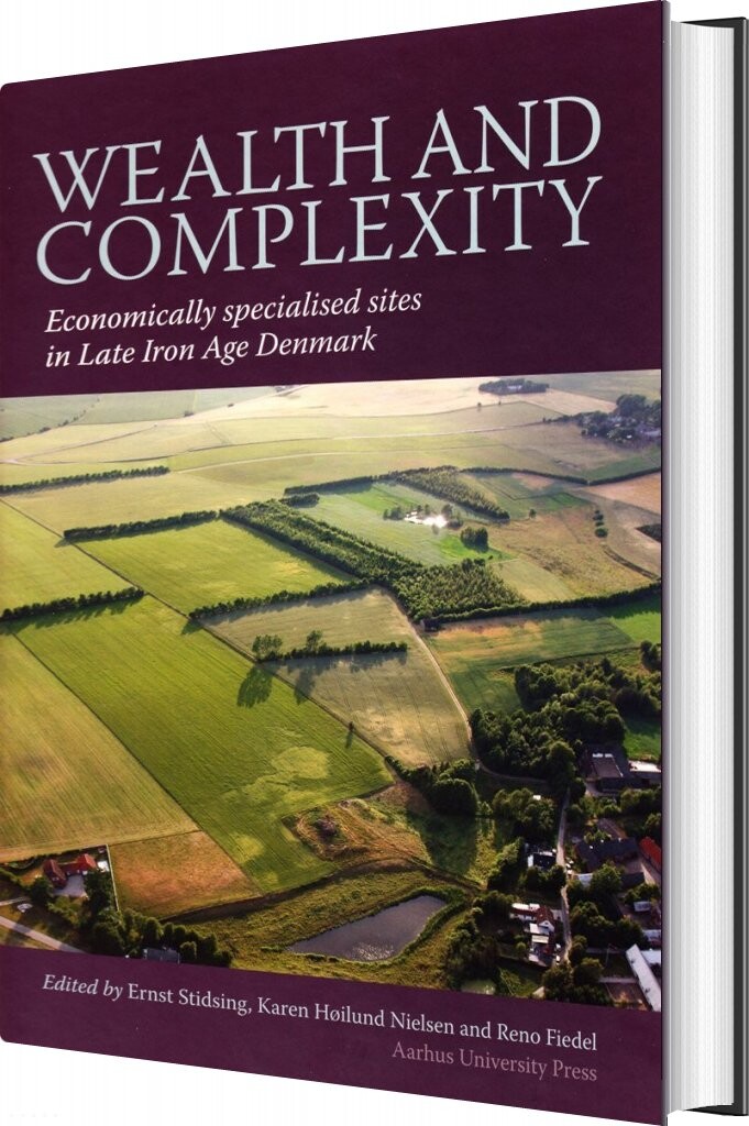 Wealth And Complexity   Ernst Stidsing   Bog