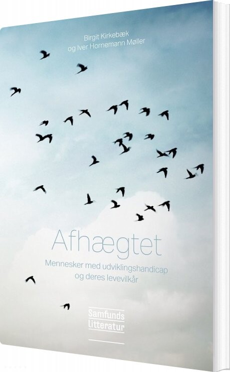 Afhægtet   Birgit Kirkebæk   Bog