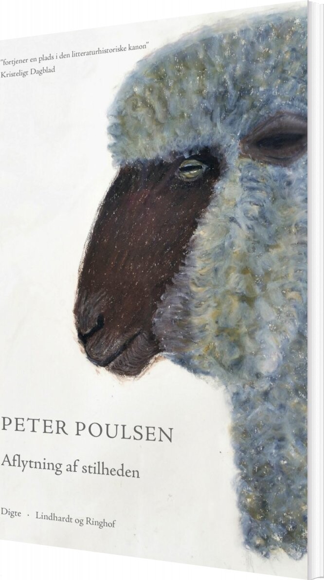 Aflytning Af Stilheden Peter Poulsen Bog